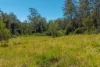 824 Batar Creek Rd, Batar Creek, NSW 2439-Image