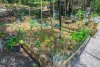 824 Batar Creek Rd, Batar Creek, NSW 2439-Image
