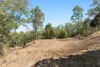 83 Colwill Crescent, Wolffdene, Qld 4207-Image