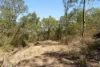 83 Colwill Crescent, Wolffdene, Qld 4207-Image