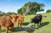 83 Dobson Road, Clear Mountain, Qld 4500-Image