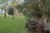 83 Dobson Road, Clear Mountain, Qld 4500-Image