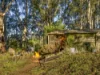 83 Gears Hill Road, Tolmie, Vic 3723-Image