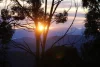 83 Gears Hill Road, Tolmie, Vic 3723-Image