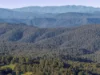 83 Gears Hill Road, Tolmie, Vic 3723-Image