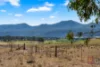 83 Milbrodale Road, Singleton, NSW 2330-Image