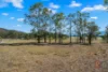 83 Milbrodale Road, Singleton, NSW 2330-Image