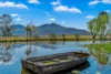 83 Milbrodale Road, Singleton, NSW 2330-Image