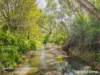 83 Mount Burrell Road, Mount Burrell, NSW 2484-Image