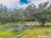 83 Mount Burrell Road, Mount Burrell, NSW 2484-Image