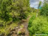 83 Mount Burrell Road, Mount Burrell, NSW 2484-Image