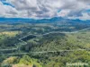 83 Mount Burrell Road, Mount Burrell, NSW 2484-Image