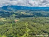 83 Mount Burrell Road, Mount Burrell, NSW 2484-Image