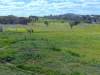 83 Trews Road (Daliak), York, WA 6302-Image