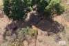 835 Beasley Road, Katherine, NT 0850-Image