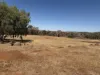 838 Moramockining Road, Wandering, WA 6308-Image