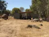 838 Moramockining Road, Wandering, WA 6308-Image