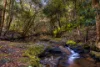 83H Willow Glen Road, Kurrajong, NSW 2758-Image