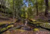 83H Willow Glen Road, Kurrajong, NSW 2758-Image