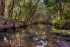 83H Willow Glen Road, Kurrajong, NSW 2758-Image