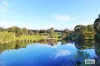 84 Reyn Road, Sedgwick, Vic 3551-Image