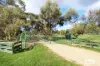 84 Reyn Road, Sedgwick, Vic 3551-Image