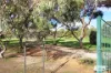 84 Reyn Road, Sedgwick, Vic 3551-Image