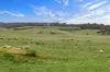 84 Walders Road, Narrawong, Vic 3285-Image