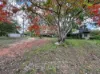 841 Bilwon Road, Biboohra, Qld 4880-Image