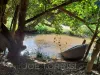 841 Bilwon Road, Biboohra, Qld 4880-Image