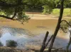 841 Bilwon Road, Biboohra, Qld 4880-Image