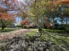 841 Bilwon Road, Biboohra, Qld 4880-Image