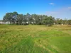 85 Devonshire Road, Rossmore, NSW 2557-Image