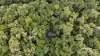 85 Figtree Close, Malanda, Qld 4885