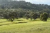 85 Horrocks Road, Penwortham, SA 5453-Image