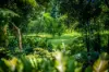 85 Macdonalds Road, Lisarow, NSW 2250-Image