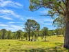 852 Wang Wauk Road, Wang Wauk, NSW 2423-Image