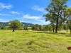 852 Wang Wauk Road, Wang Wauk, NSW 2423-Image