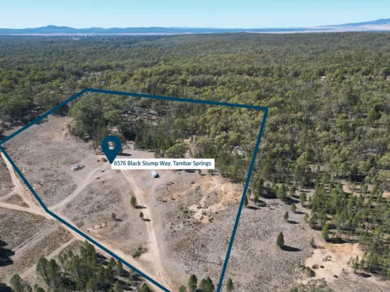 8576 Black Stump Way, Tambar Springs, NSW 2381
