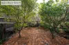 86-88 Kameruka Street, Bemboka, NSW 2550-Image