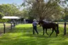 86 Bellay Road, Beachmere, Qld 4510-Image