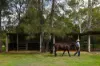86 Bellay Road, Beachmere, Qld 4510-Image