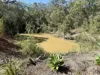 86 Packer Road, Blackbutt North, Qld 4314-Image