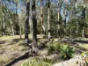 86 Packer Road, Blackbutt North, Qld 4314-Image