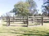 8669 New England Highway, Muswellbrook, NSW 2333-Image