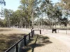 8669 New England Highway, Muswellbrook, NSW 2333-Image