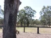 8669 New England Highway, Muswellbrook, NSW 2333-Image