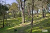 87 Lindsay Road, Kiewa, Vic 3691-Image