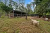 875 Murphys Creek Road, Upper Lockyer, Qld 4352-Image