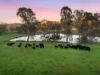 88 Maintongoon Road, Alexandra, Vic 3714-Image